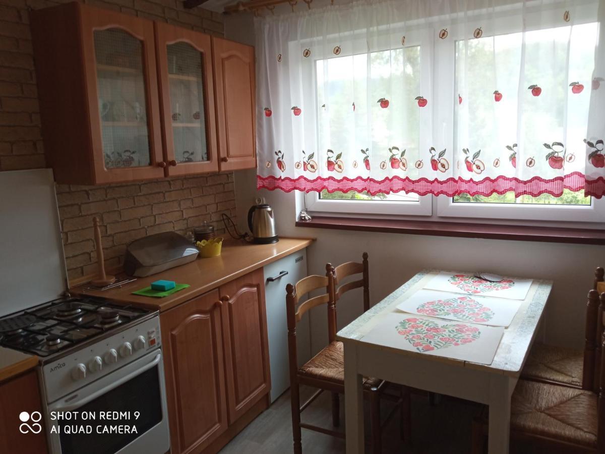 Domek i Apartamenty Stokrotka Krynica-Zdrój Exteriör bild